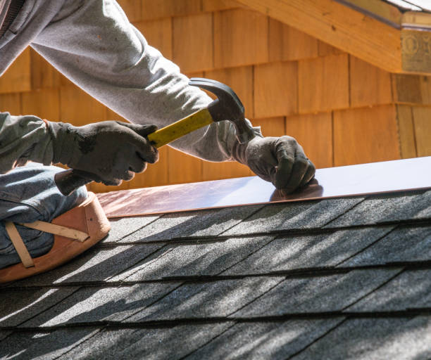 Best Flat Roof Repair Services  in Fruitland, IA